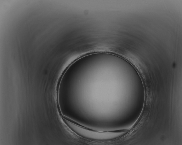 X0000097981342200804011735