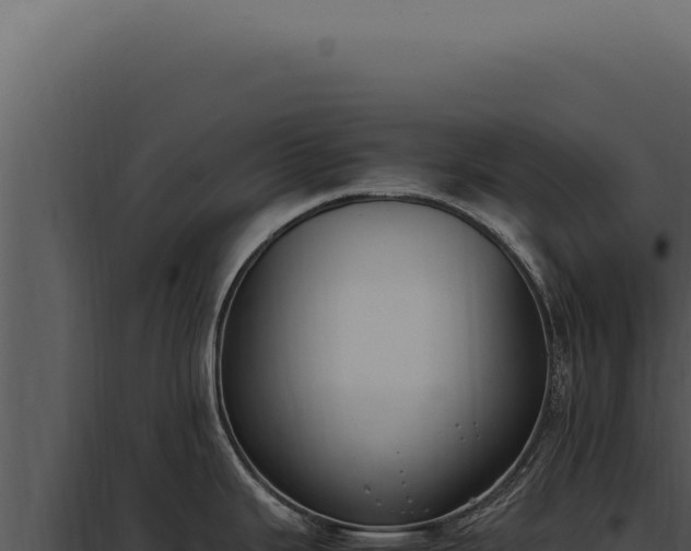 X0000097981343200804011735