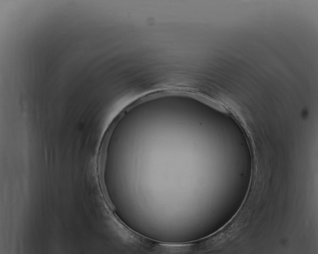 X0000097981344200804011736