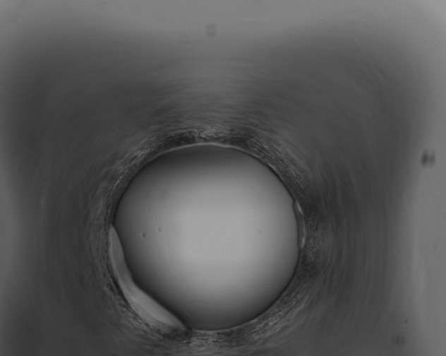 X0000097981345200804011735