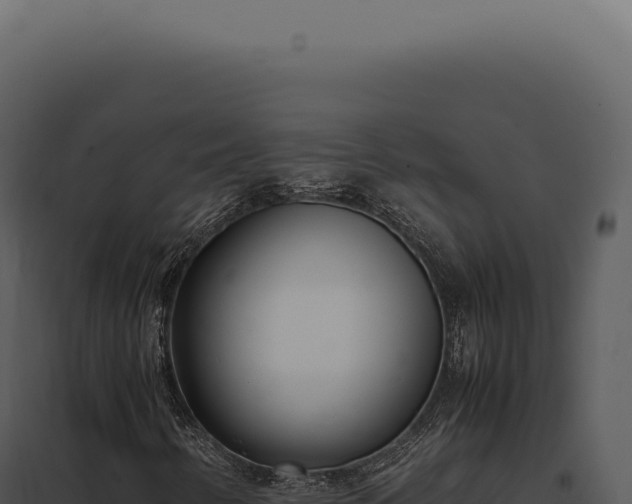X0000097981346200804011735