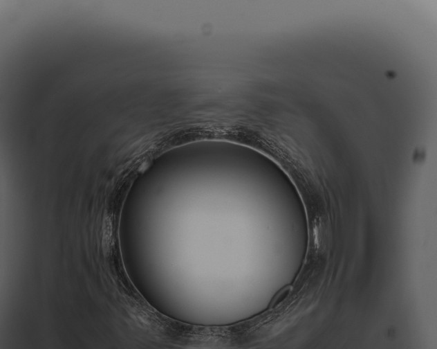 X0000097981347200804011735