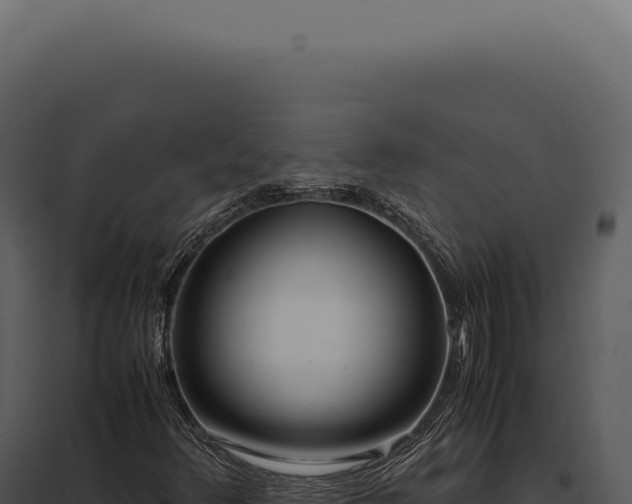X0000097981348200804011735