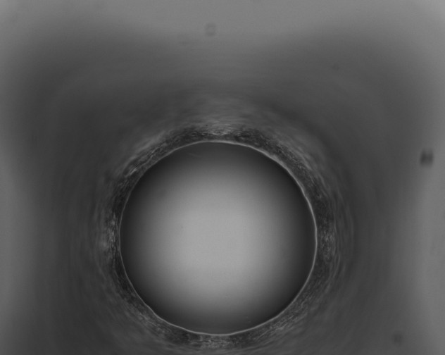 X0000097981349200804011735