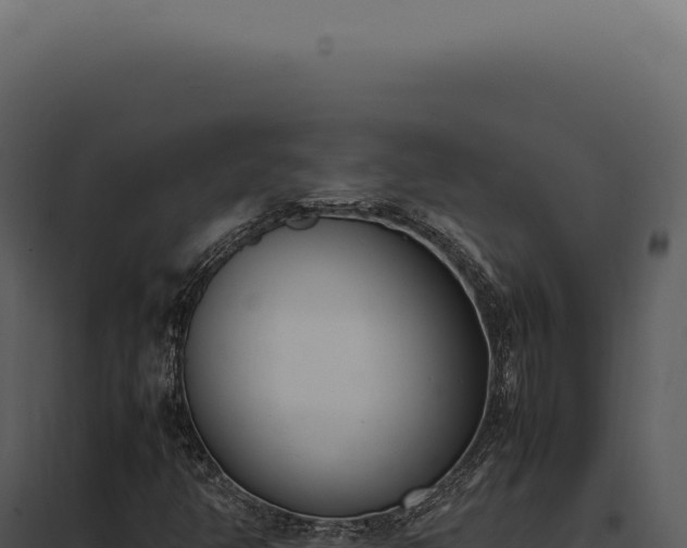 X0000097981350200804011735