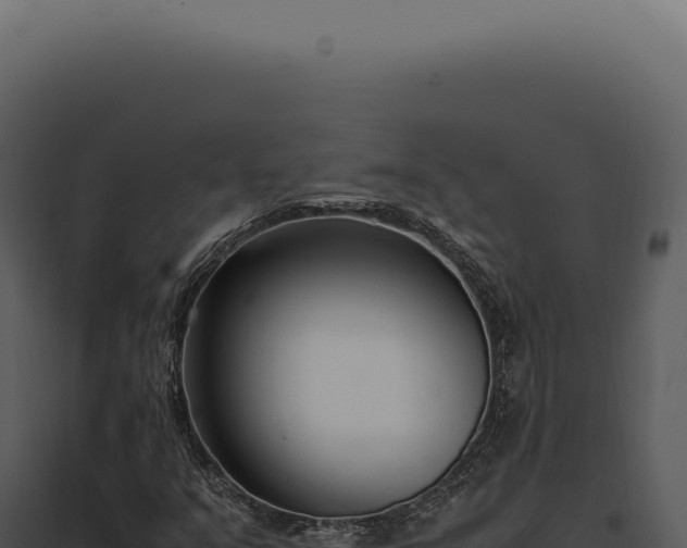 X0000097981351200804011735