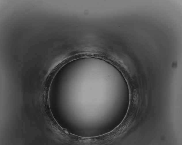 X0000097981352200804011735