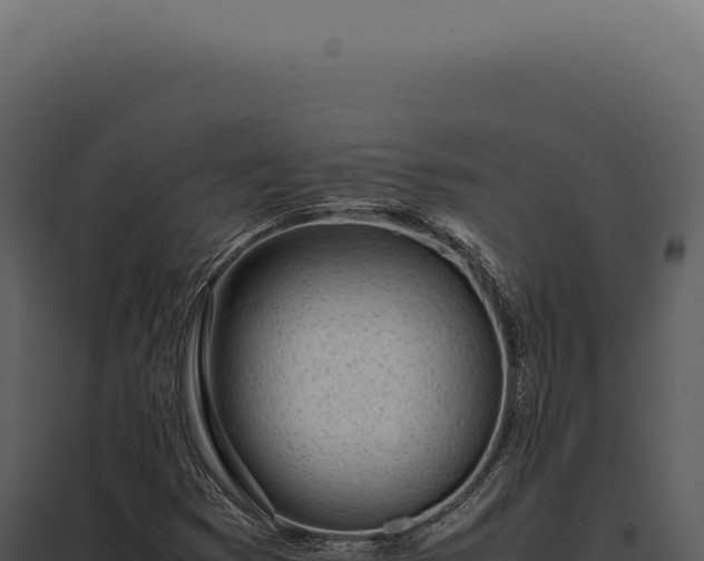 X0000097981353200804011735