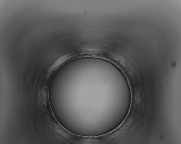 X0000097981354200804011735