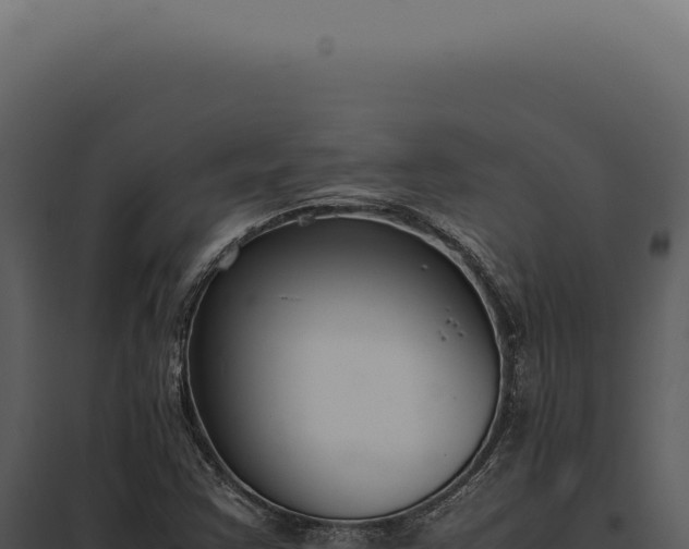 X0000097981355200804011735
