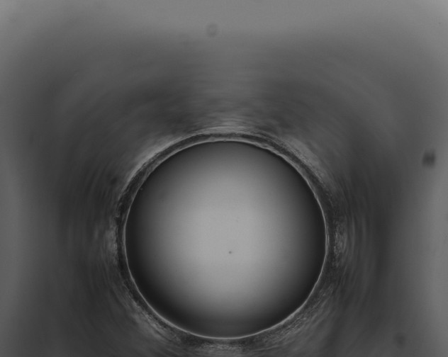 X0000097981356200804011735