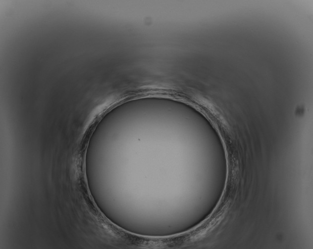 X0000097981357200804011735