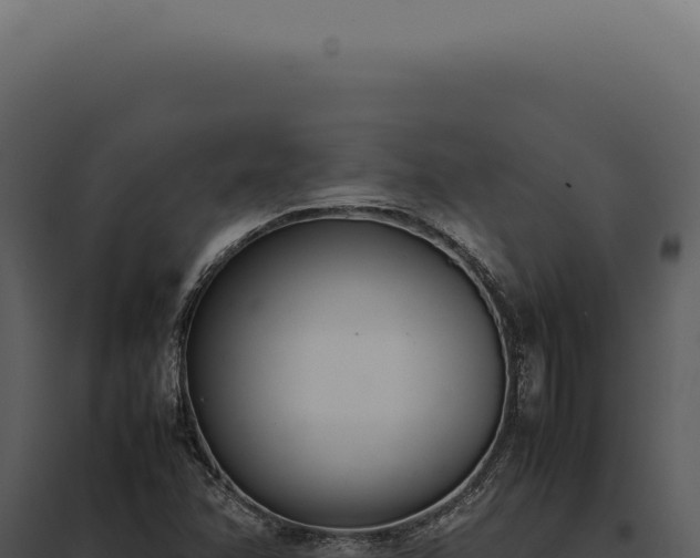 X0000097981358200804011734
