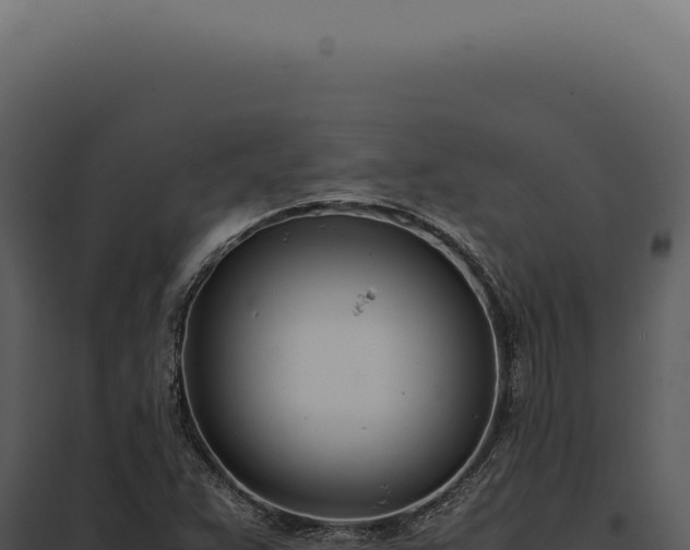 X0000097981359200804011734