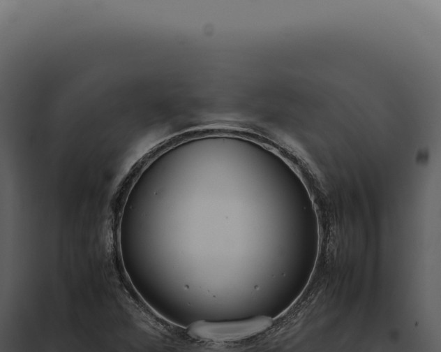 X0000097981360200804011734