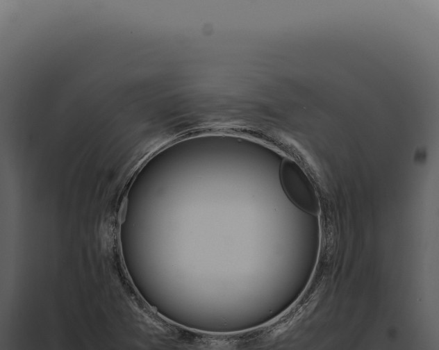 X0000097981361200804011734