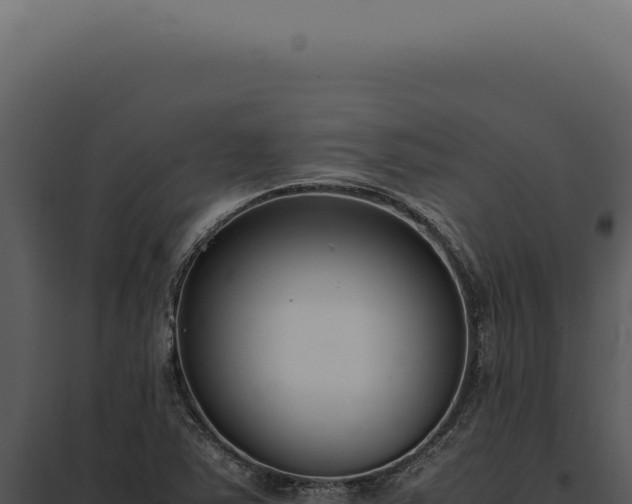 X0000097981363200804011734