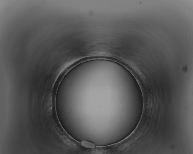 X0000097981364200804011734