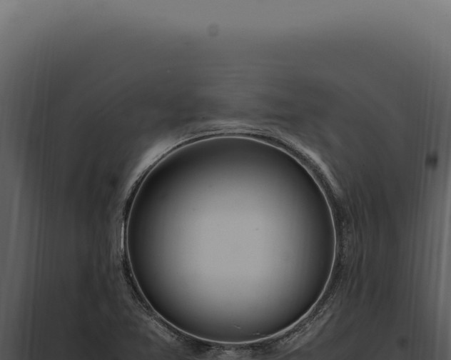X0000097981365200804011734