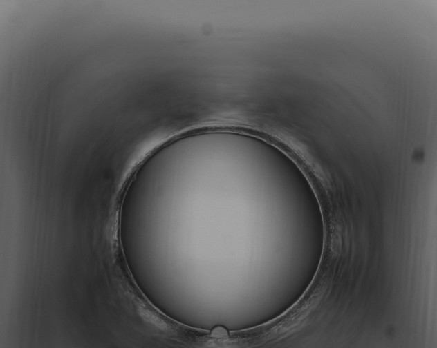 X0000097981366200804011734