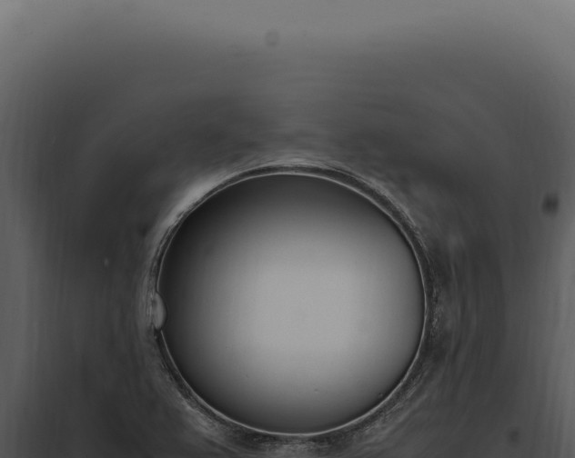 X0000097981367200804011734