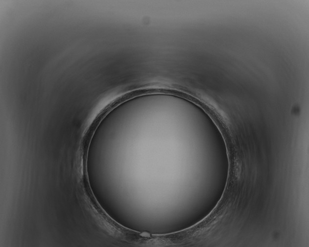 X0000097981368200804011734