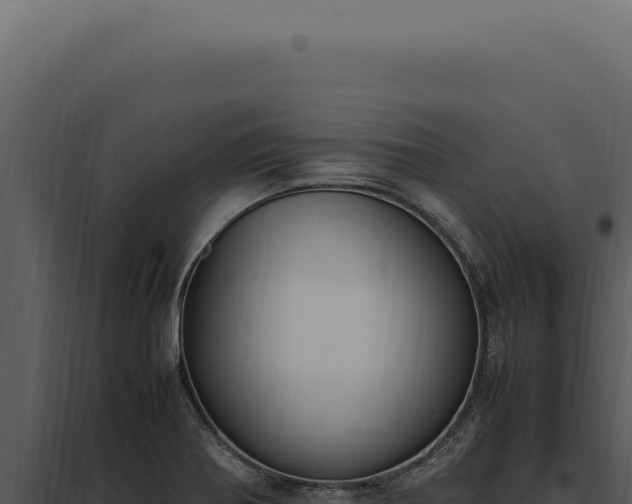 X0000097981370200804011734