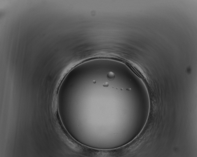 X0000097981371200804011734