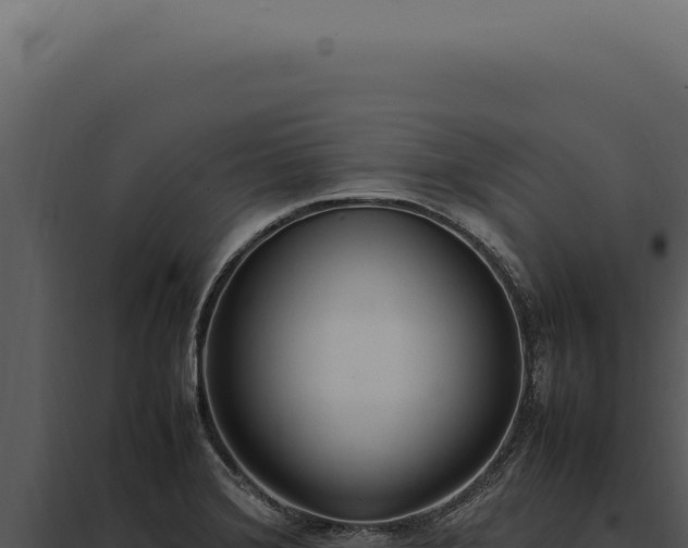 X0000097981372200804011734