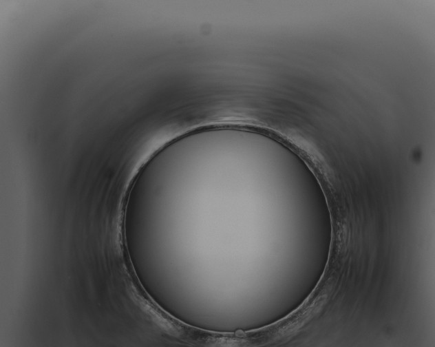 X0000097981374200804011734