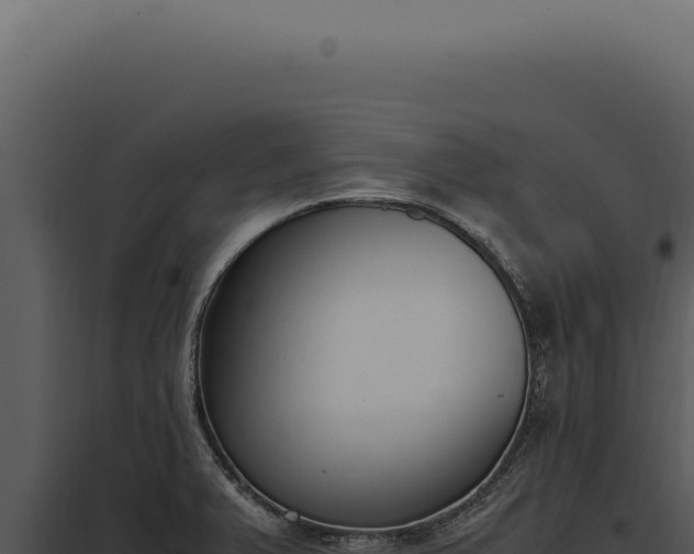 X0000097981375200804011734
