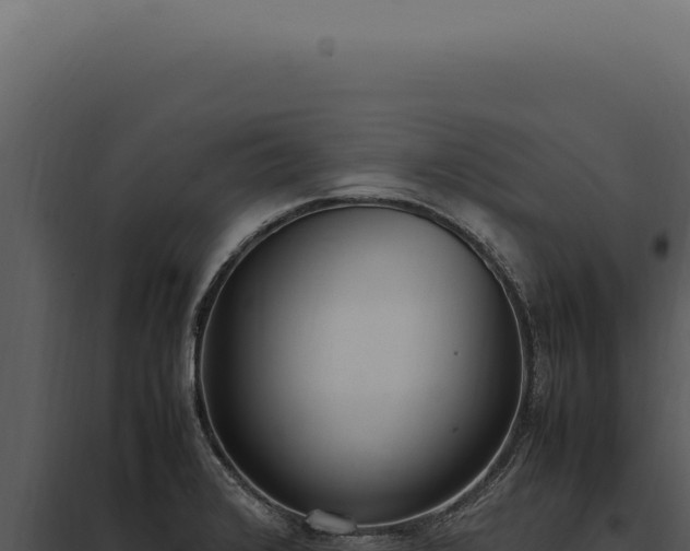 X0000097981376200804011734