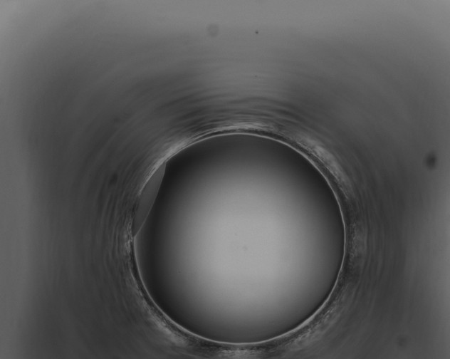 X0000097981377200804011734