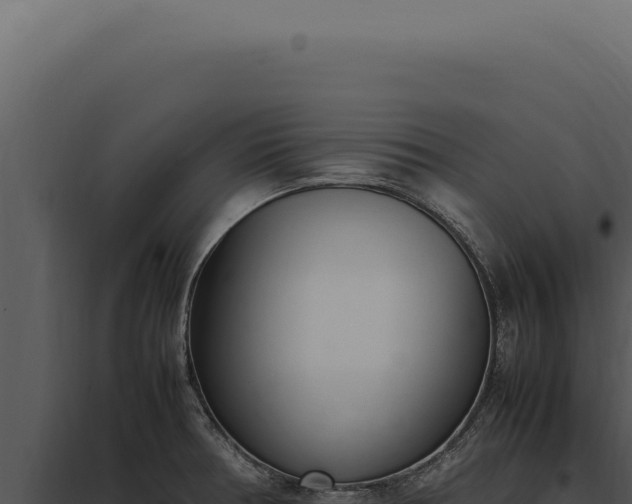 X0000097981378200804011734