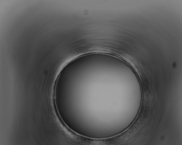X0000097981379200804011734