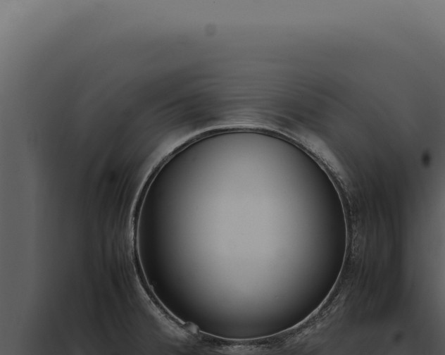X0000097981380200804011734