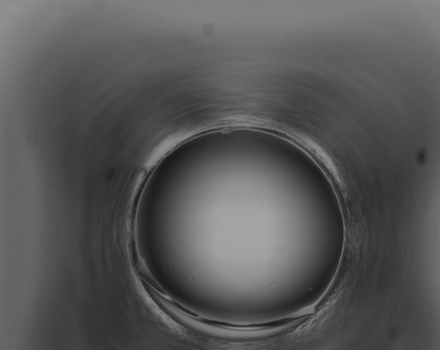 X0000097981381200804011734