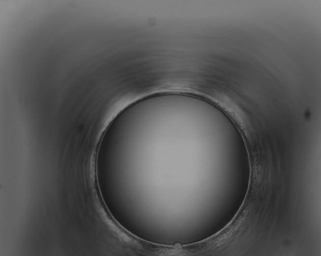 X0000097981382200804011734
