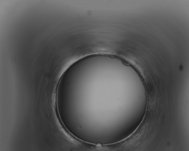 X0000097981383200804011734