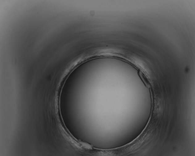 X0000097981384200804011734