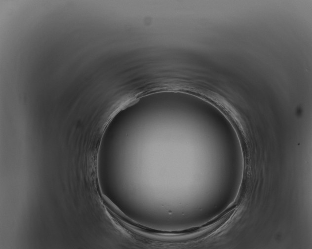 X0000097981385200804011734