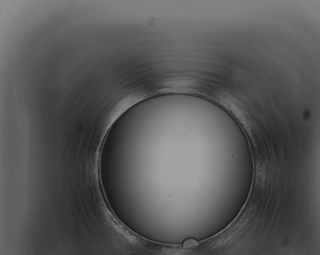 X0000097981386200804011734