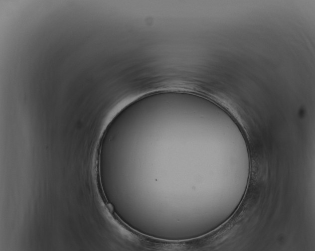 X0000097981387200804011734