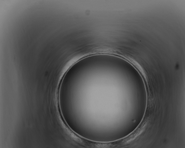 X0000097981389200804011734