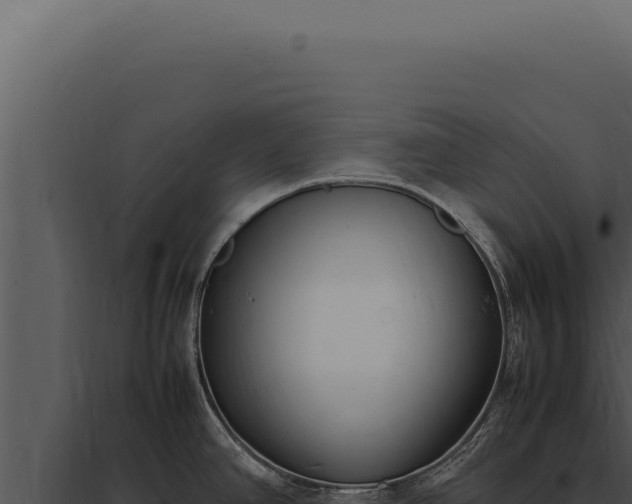 X0000097981390200804011734