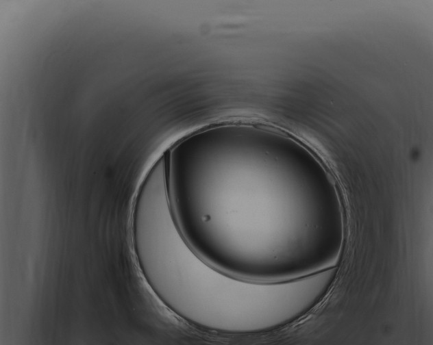 X0000097981392200804011734