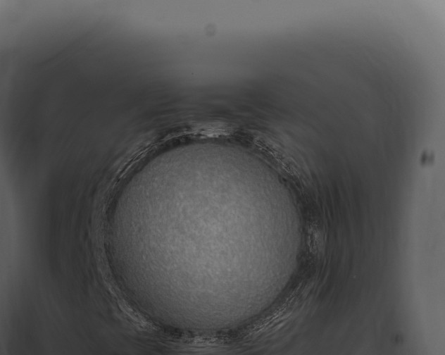 X0000097981393200804011733