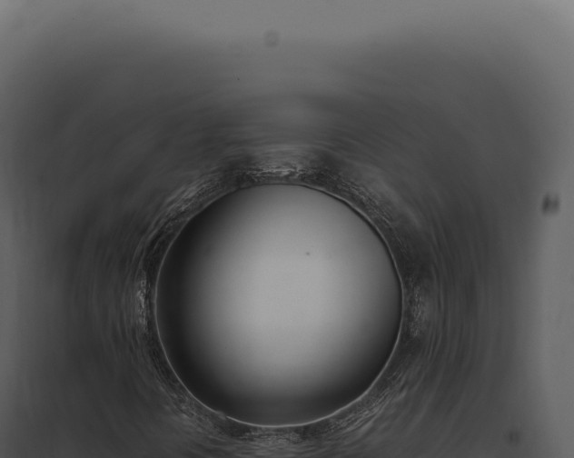 X0000097981394200804011733