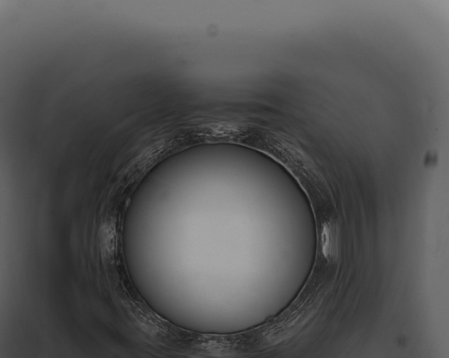 X0000097981395200804011733