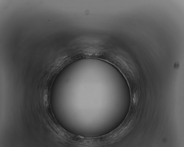 X0000097981396200804011733